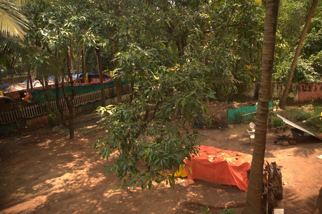 Namahstay Eco Hostel & Coworking & Art Community Space 아람볼 외부 사진